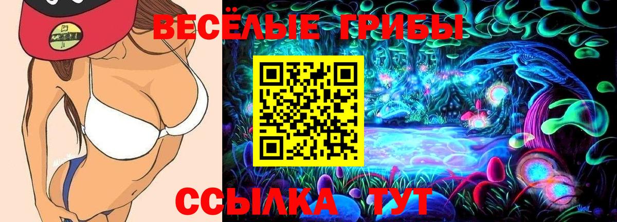 Галлюциногенные грибы прущие грибы  Вход с VPN  Стрежевой 